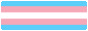 trans pride flag